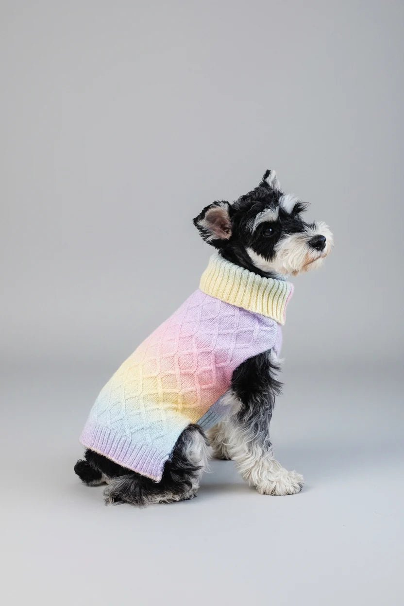 Bew Dogs Rainbow Cable Knit Dog Jumper - Wild & Worthy UK