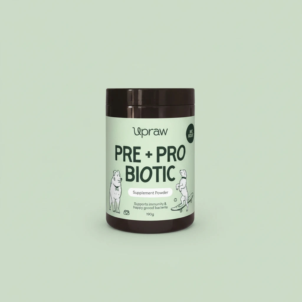 Upraw Pre + Pro Biotic Powder for Dogs – Natural Digestive & Immune Support Supplement - Natural Dog Treats & Supplements