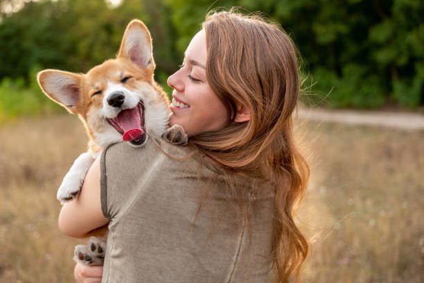 Dog Supplements UK - Wild & Worthy UK