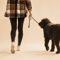 60-Minute Solo Dog Walk | Wild & Worthy Pet Care - Wild & Worthy UK