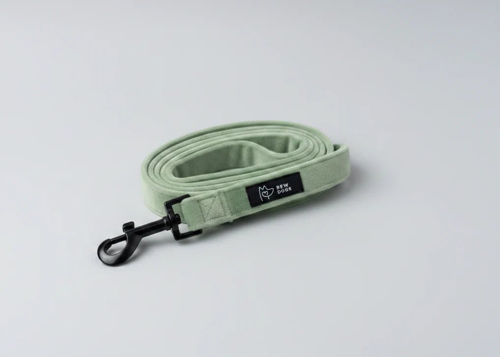 Bew Dogs green Velvet Walking Set | Dog Harness and, Poo bag &Lead Set (Copy) - Wild & Worthy UK