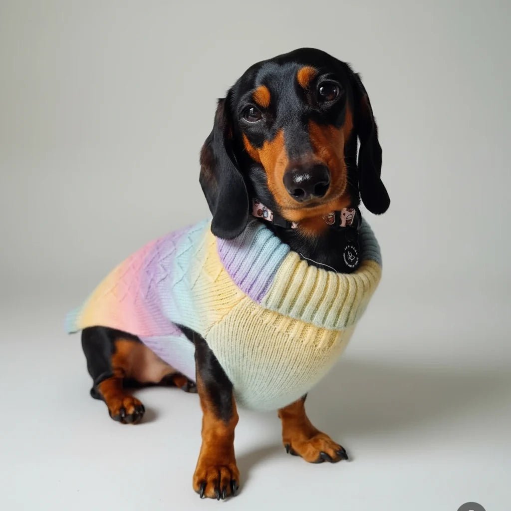 Bew Dogs Rainbow Cable Knit Dog Jumper - Wild & Worthy UK