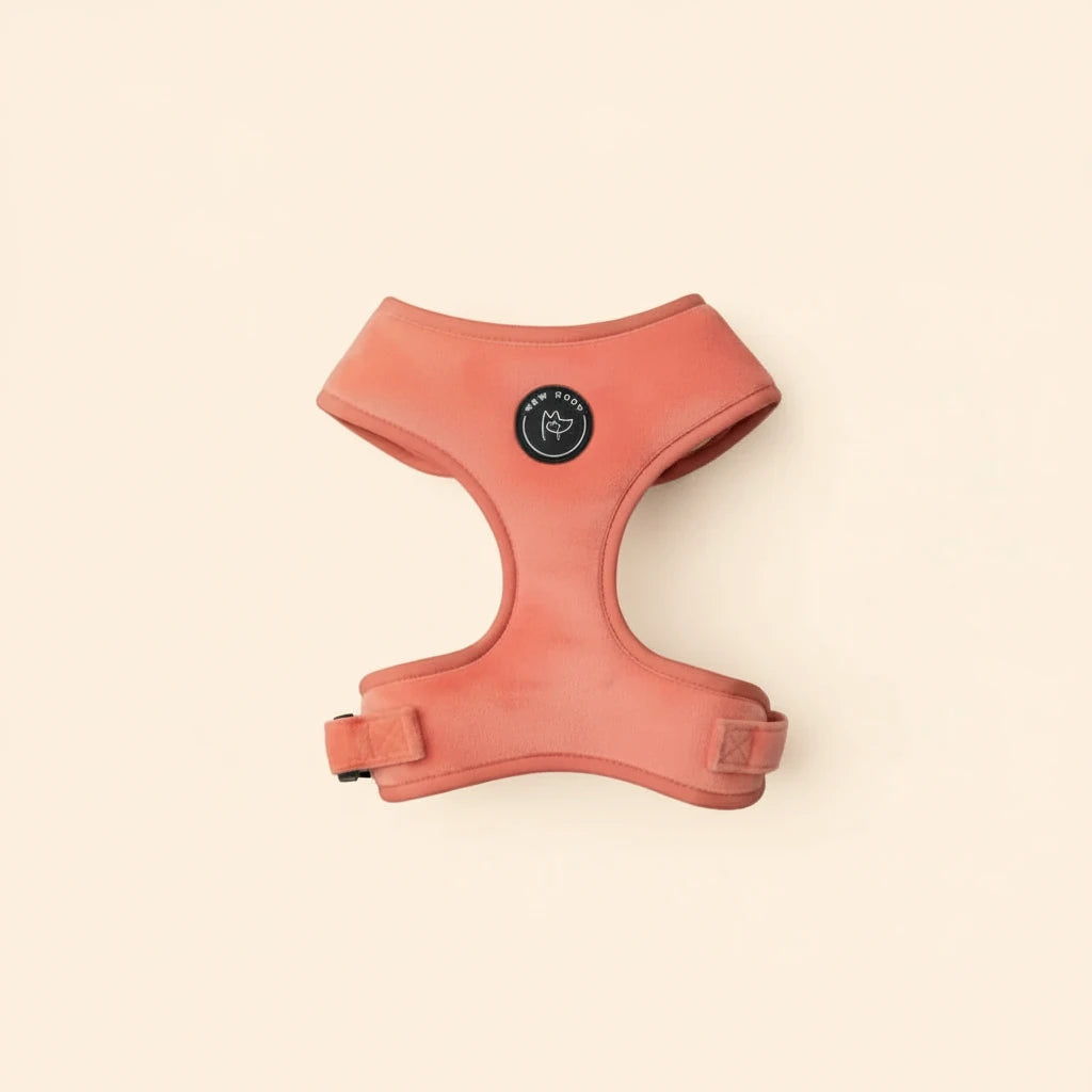 Bew Dogs Sundown Coral Velvet Dog Harness - Wild & Worthy UK
