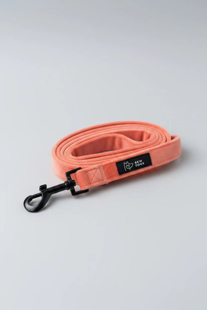 Bew Dogs Velvet Walking Set | Dog Harness and, Poo bag &Lead Set - Wild & Worthy UK