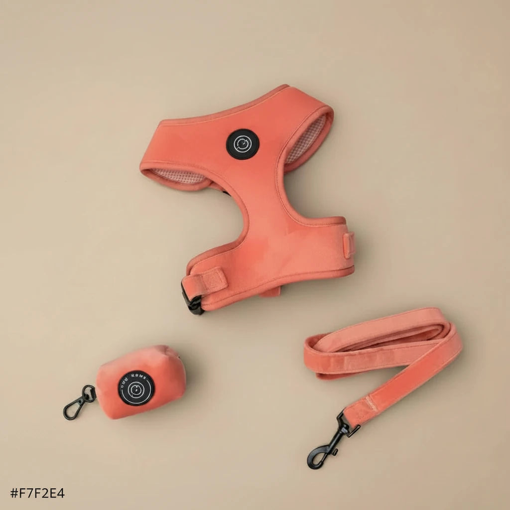 Bew Dogs Velvet Walking Set | Dog Harness and, Poo bag &Lead Set - Wild & Worthy UK