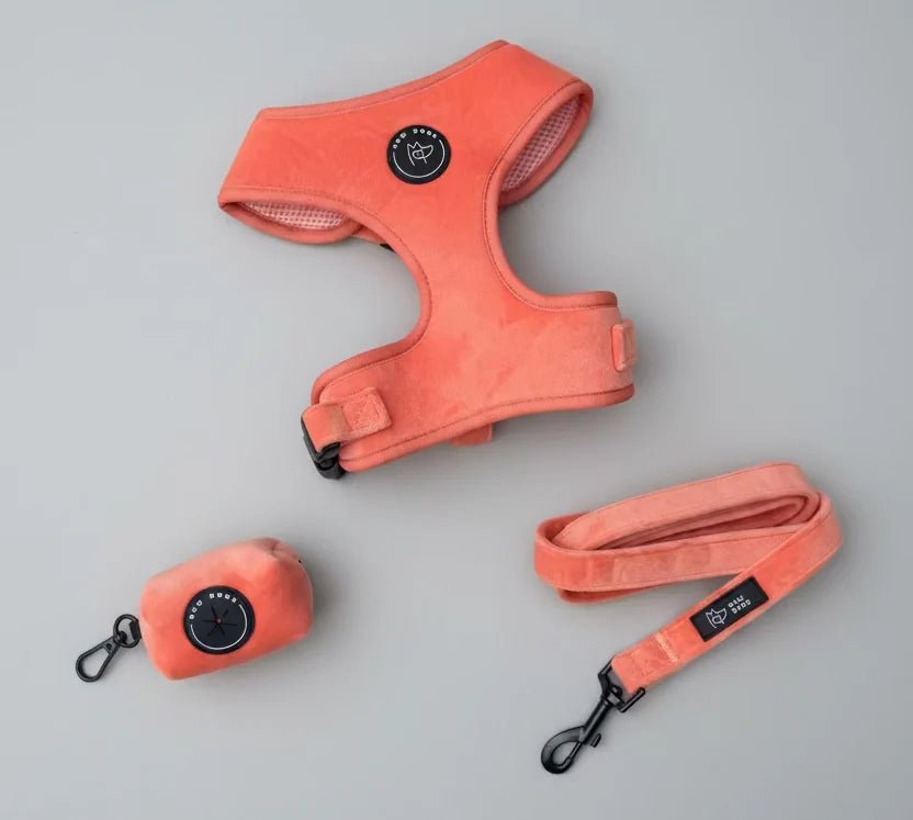 Bew Dogs Velvet Walking Set | Dog Harness and, Poo bag &Lead Set - Wild & Worthy UK