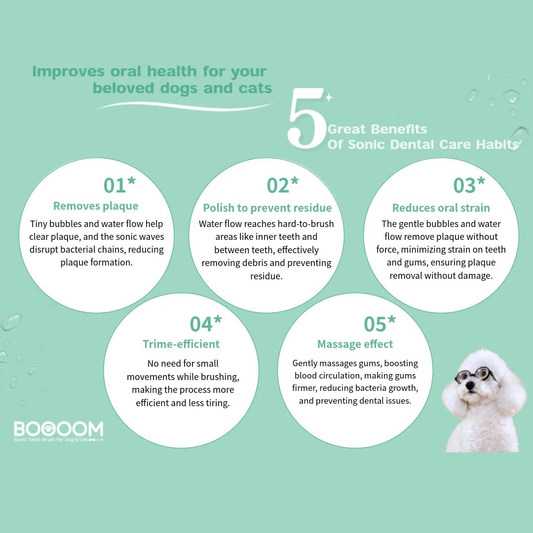 BOOOOM Sonic Pet Toothbrush for Dogs & Cats - Wild & Worthy UK