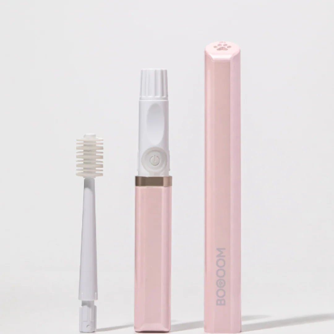 BOOOOM Sonic Pet Toothbrush for Dogs & Cats - Wild & Worthy UK