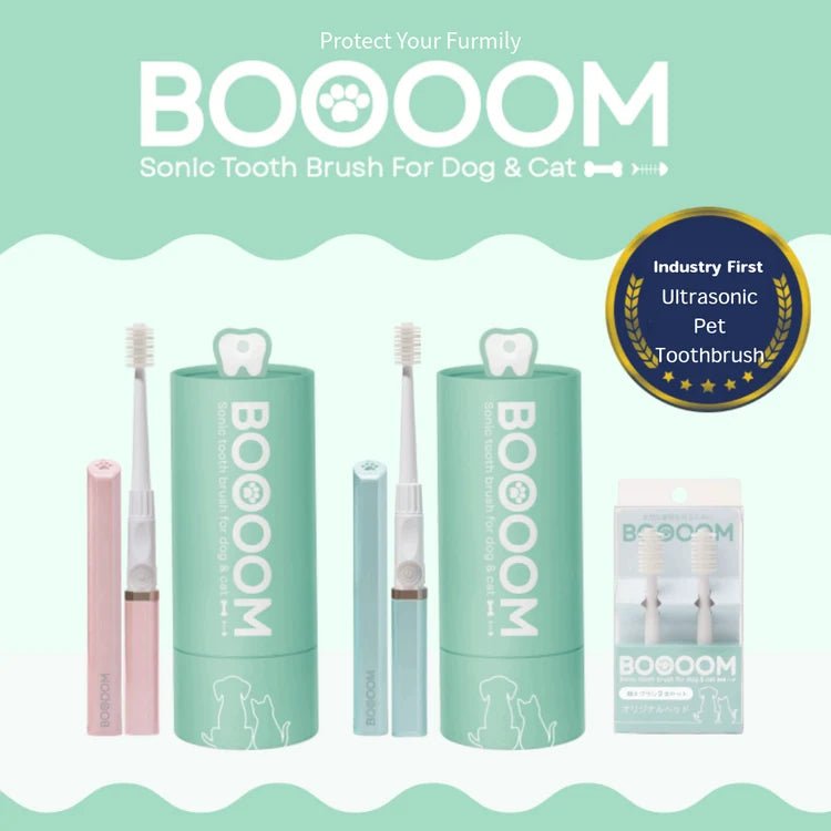 BOOOOM Sonic Pet Toothbrush for Dogs & Cats - Wild & Worthy UK
