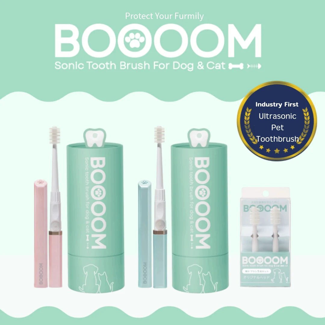 BOOOOM Sonic Pet Toothbrush for Dogs & Cats - Wild & Worthy UK