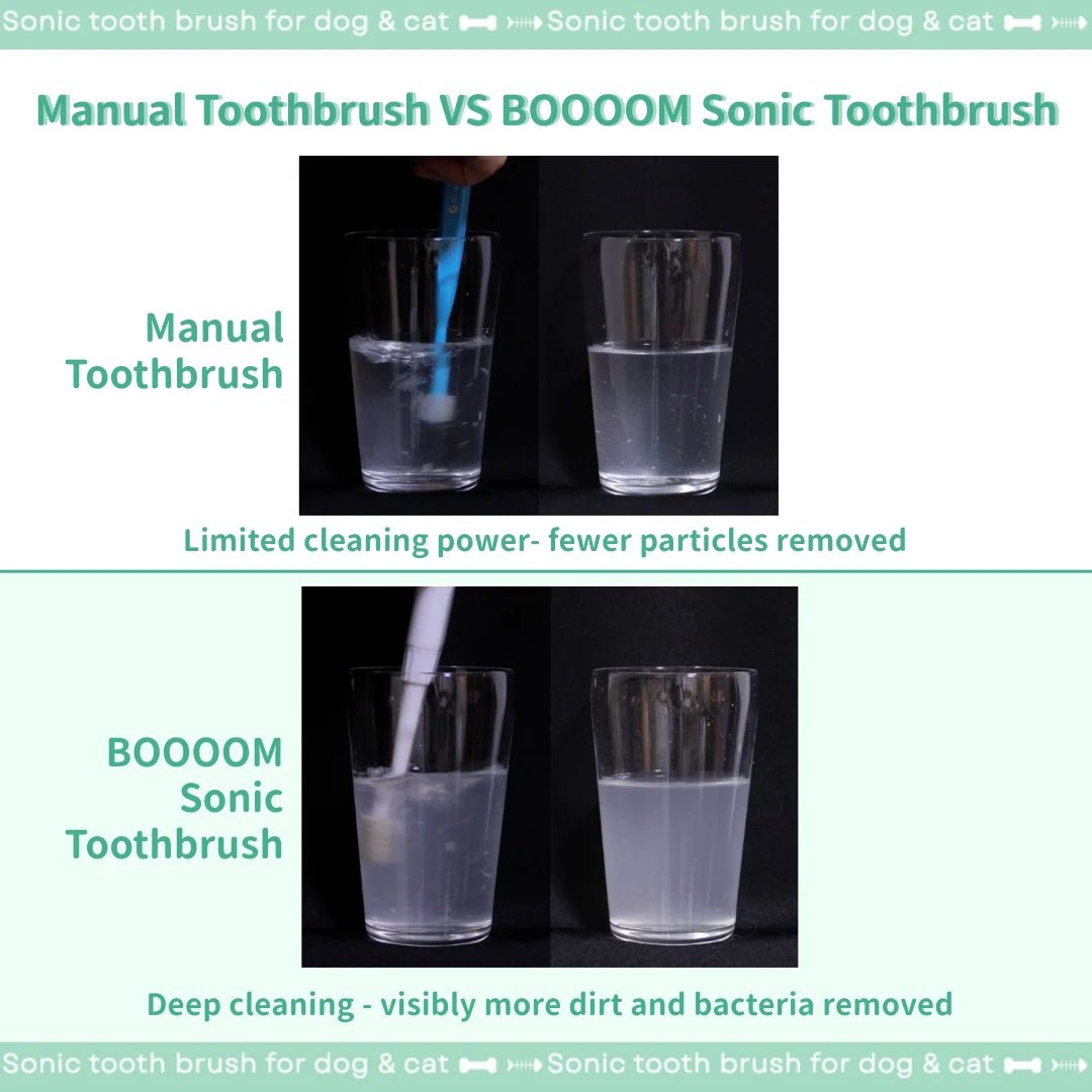 BOOOOM Sonic Pet Toothbrush for Dogs & Cats - Wild & Worthy UK
