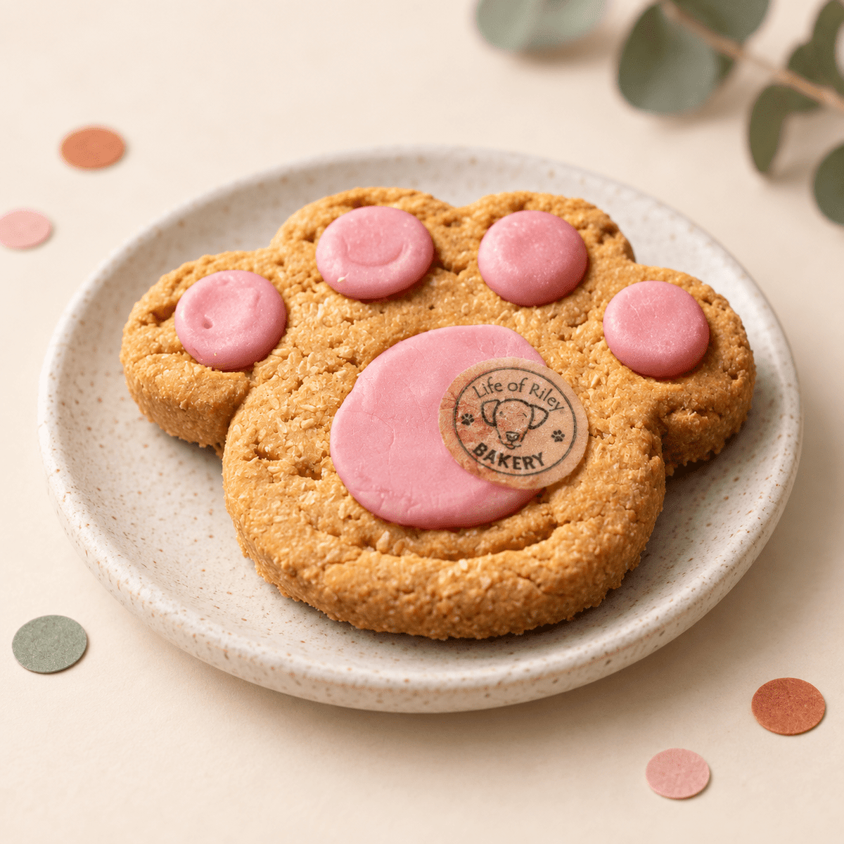 A paw-shaped baked cookie with pink icing details sits on a speckled ceramic plate. Dog Birthday Treat Box