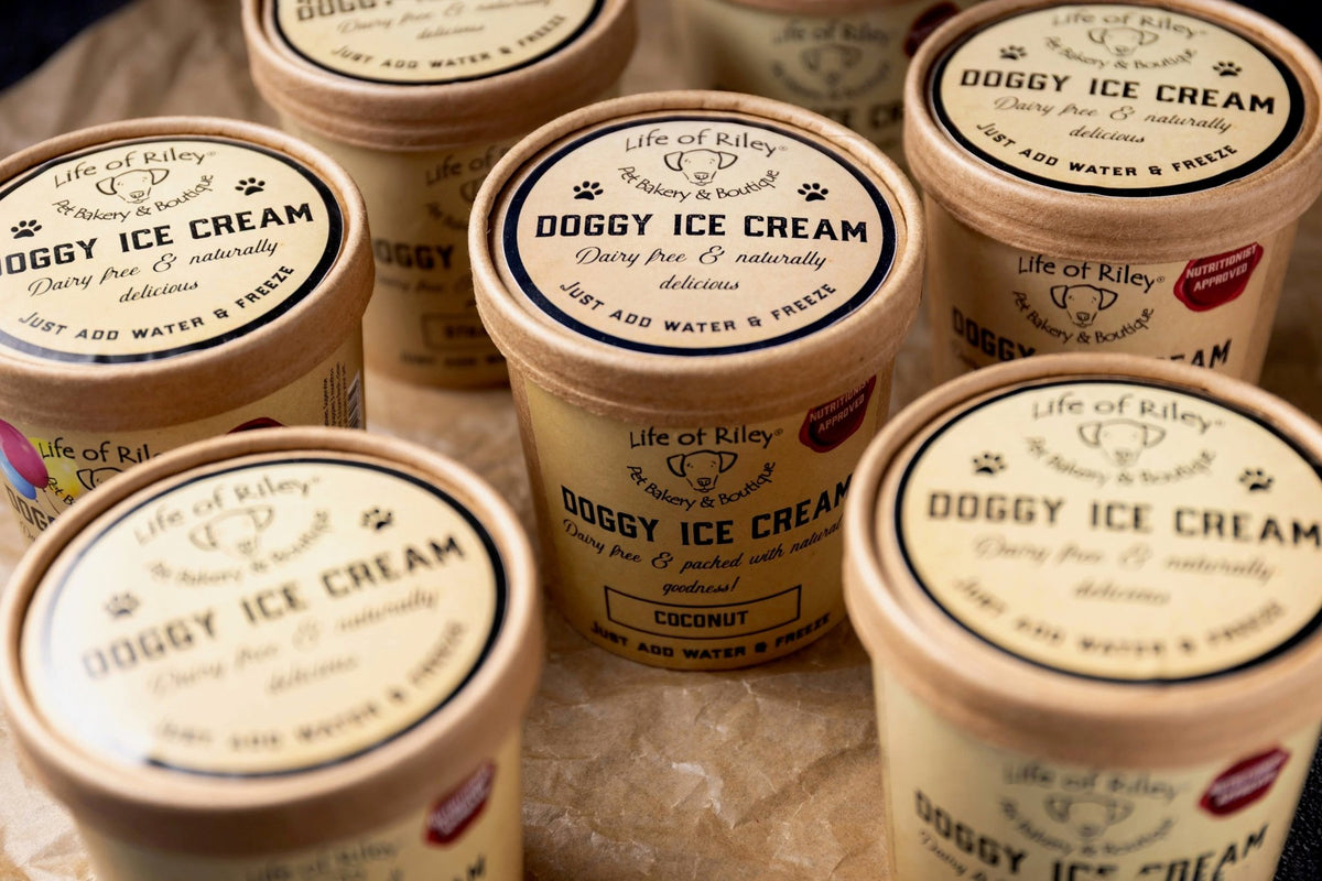 Doggy DIY Ice Cream Kit - DIY ice cream life of Riley