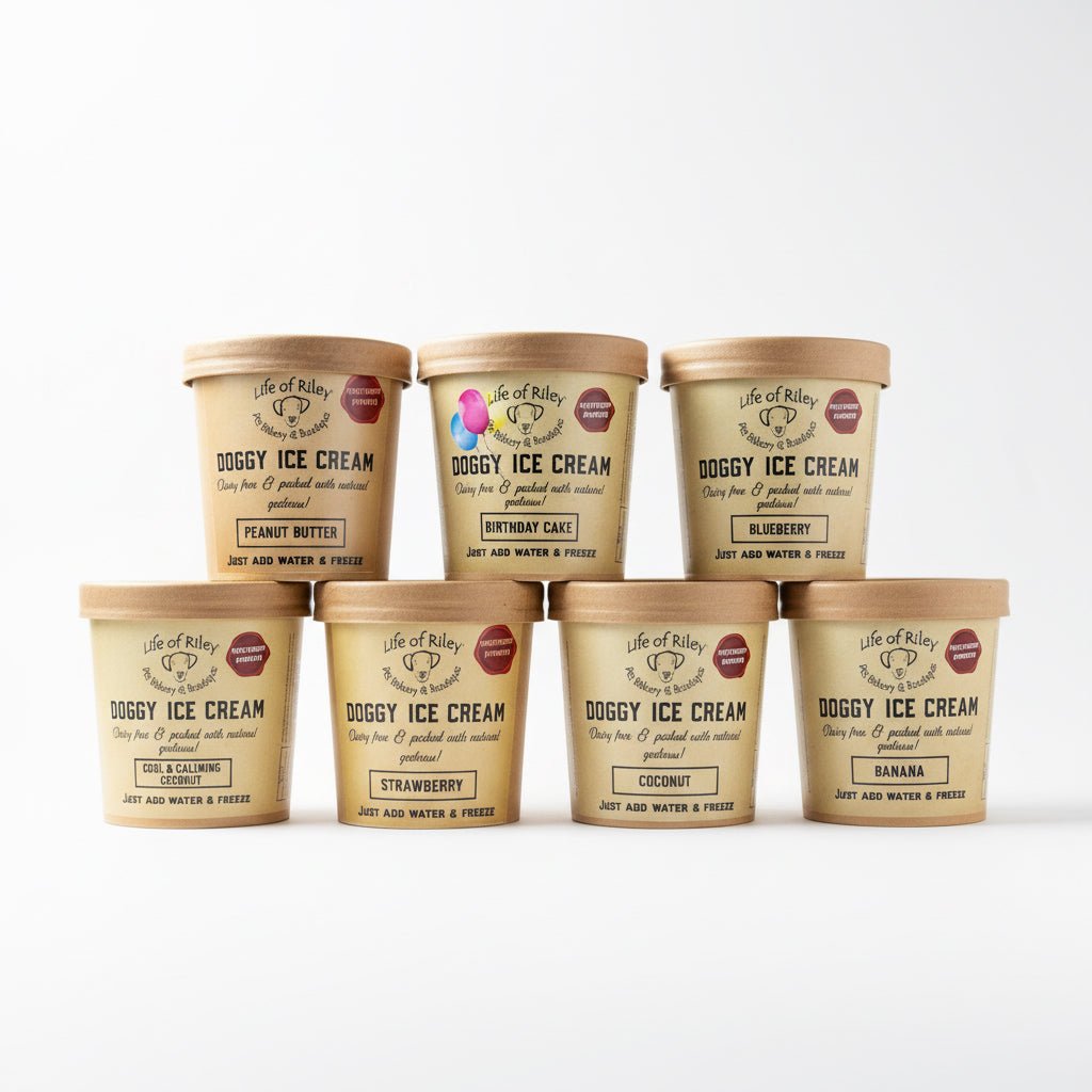 Doggy DIY Ice Cream Kit | Just Add Water frozen Dog treat - Wild & Worthy UK