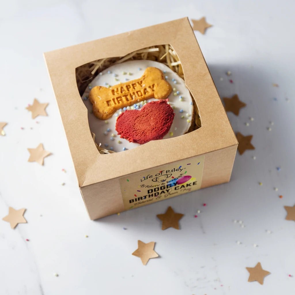 Luxury Dog Birthday Cake | Grain-Free Handmade Dog Celebration Cake - Wild & Worthy UK