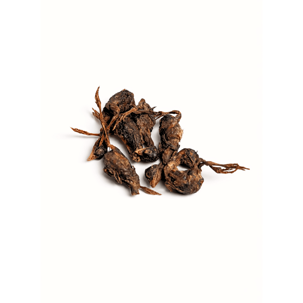 Mizu & Co Freeze-Dried Whole Quail – Natural Dog & Cat Treats, 40/70 - Wild & Worthy UK