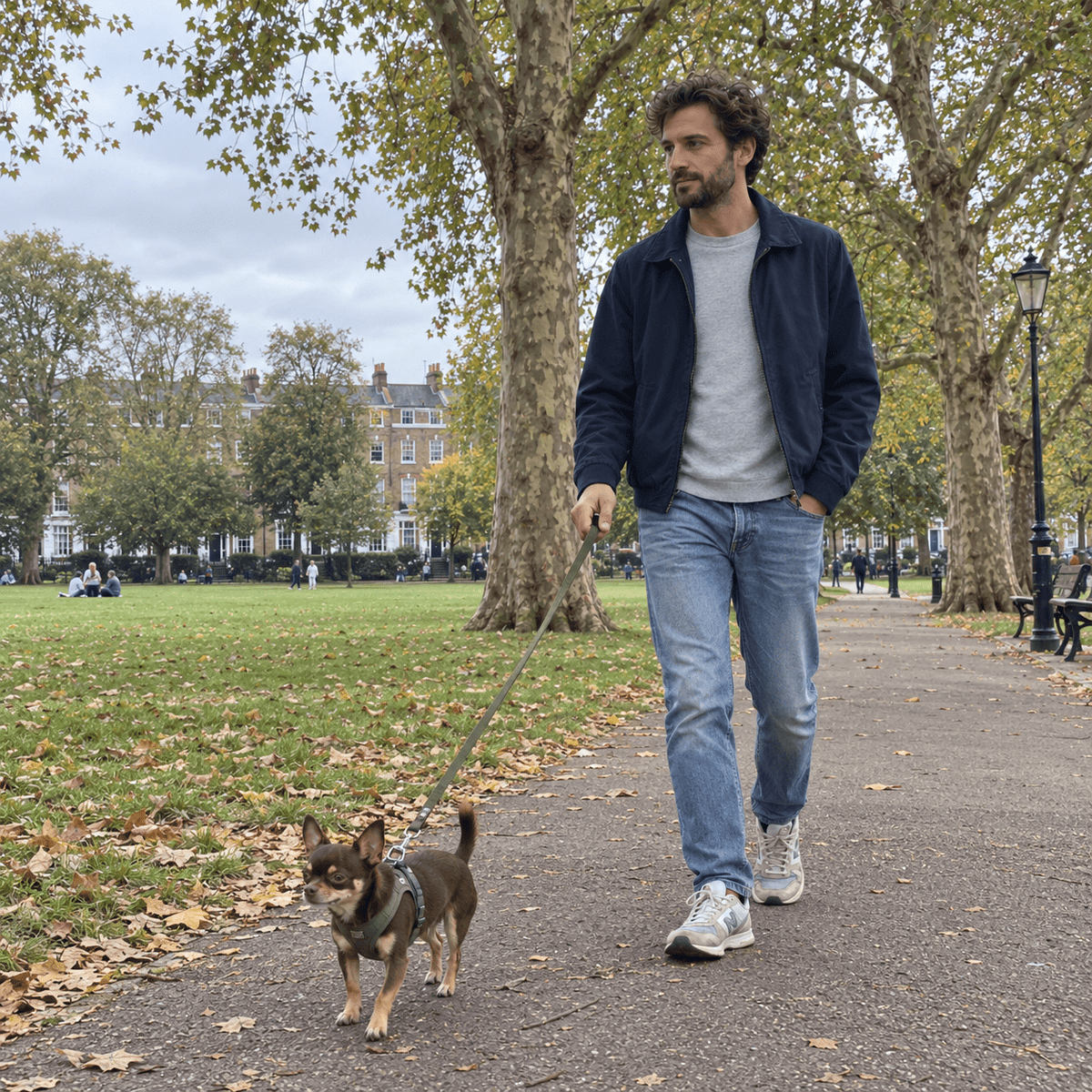 Monthly Solo Dog Walking Subscription – Highbury & Islington | 20 Walks Per Month - Wild & Worthy UK